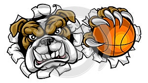 Bulldog Basketball Sports Mascot photo