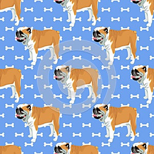 Bulldog cartoon with bones seamless pattern