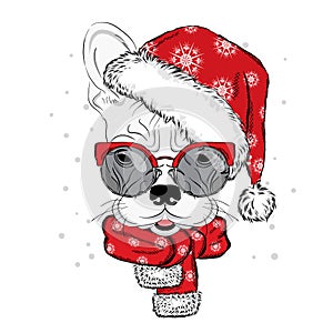 Bulldog in a Christmas hat and sunglasses. Cute puppy. Pedigree dog. W