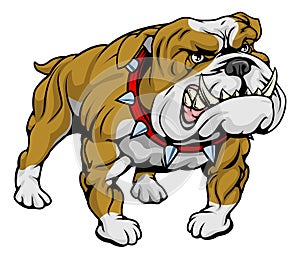 Bulldog clipart illustration