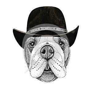 Bulldog dog head hand drawn illustration. Wild animal wearing cowboy hat Wild west