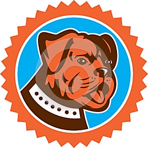 Bulldog Dog Mongrel Head Mascot Rosette