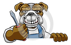 Bulldog Electrician Handyman Holding Screwdriver