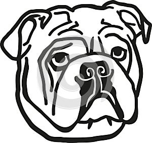 Bulldog head