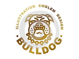 Bulldog head logo - vector illustration, golden emblem