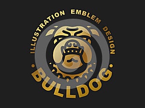 Bulldog head logo - vector illustration golden emblem