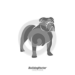 Bulldog logo design vector template. Silhouette of Bulldog design illustration