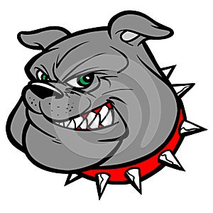 Bulldog Mascot Head