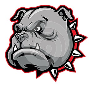 Bulldog mascot photo