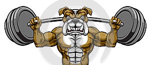 Bulldog Mascot Weight Lifting Body Builder photo