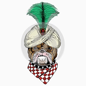 Bulldog portrait. Dog head. Animal face. Animal and wizard hat. Sorcerer and magican