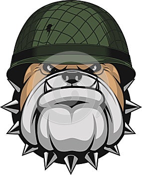 Bulldog in a soldier`s helmet