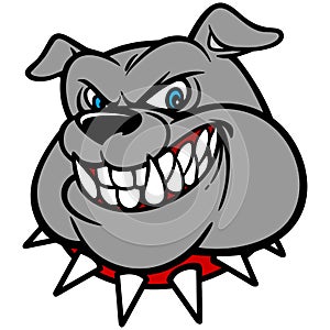 Bulldog with Spiked Collar