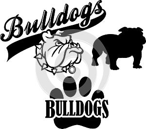 Bulldog Team Mascot/eps photo