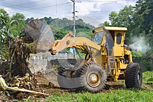 Bulldozer clearing bush