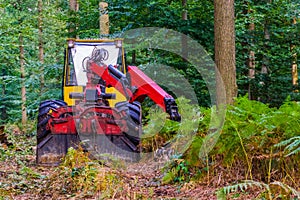 Bulldozer driving in the forest, deforestation and environmental awareness, Nature reserve upkeep