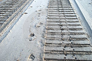 Bulldozer and human tracks in sand photo