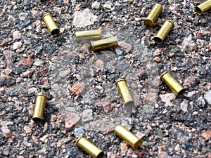Bullet cases