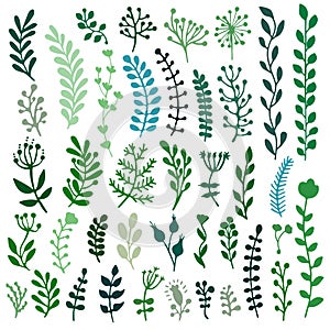 Bullet journal hand drawn vector elements for notebook, diary and planner. Set of doodles branches, herbs, flowers, plants