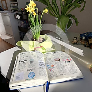 Bullet journal, spring, sun, photo