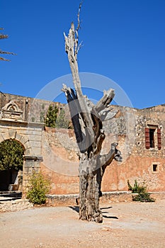 Bullet tree at Arkadi Monastery.