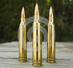 Bullets photo