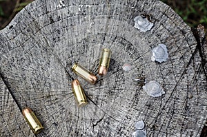 Bullets, ammunition and spent lead tips