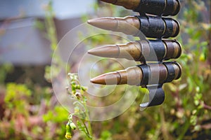 Bullets Belt with Plants