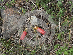 Bullets of Hunting cartridges ammunitions left on the groud