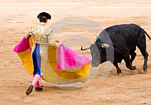 Bullfighter and bull