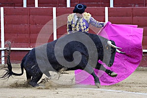 Bullfighter photo