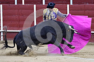 Bullfighter