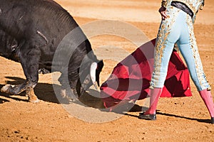 Bullfighter with the Cape in the Bullfight