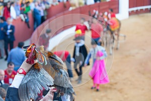 A bullfighter rewards photo