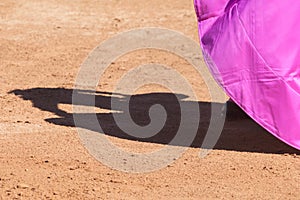 Bullfighter  and shadow on sand