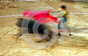 Bullfighting - bullfighter torero with bull in motion blur