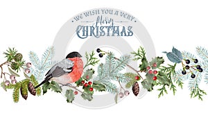 Bullfinch Christmas border photo