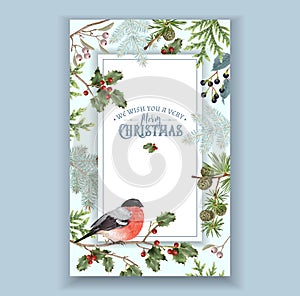 Bullfinch Christmas frame