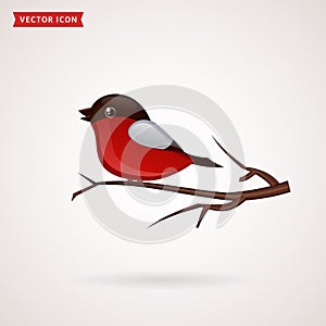 Bullfinch. Vector icon.