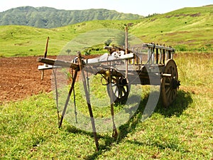 Bullock Cart