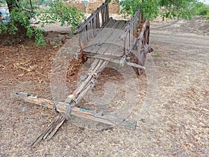 A bullock cart from my grandfather`s time on my farm.