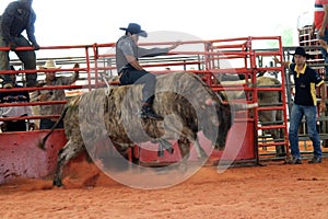 Bullriding at the rodeo