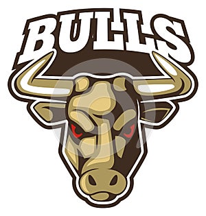 Bulls color logo. Angry animal head badge photo