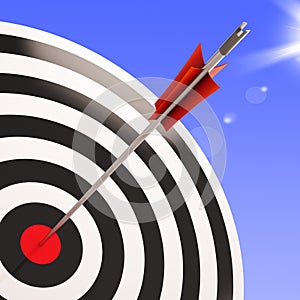 Bulls eye Target Shows Performance Goal Achieved