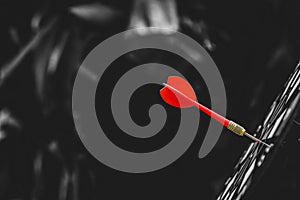 Bullseye or Bulls eye target or dartboard has red dart arrow throw hitting the center of a shooting for financial business