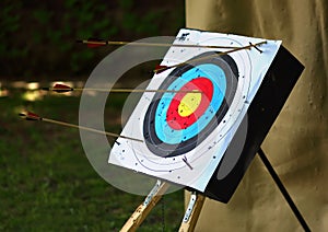 Bullseye with many arrows