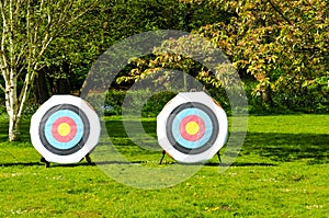 Bullseye in the nature - sports or business concept