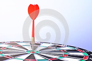 Bullseye is a target of business. Dart is an opportunity and Dartboard is the target and goal.