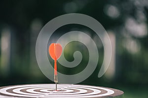 Bullseye is a target of business. Dart is an opportunity and Dartboard is the target and goal. So both of that represent a