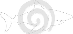 bullshark Outline Silhouette Generative Ai